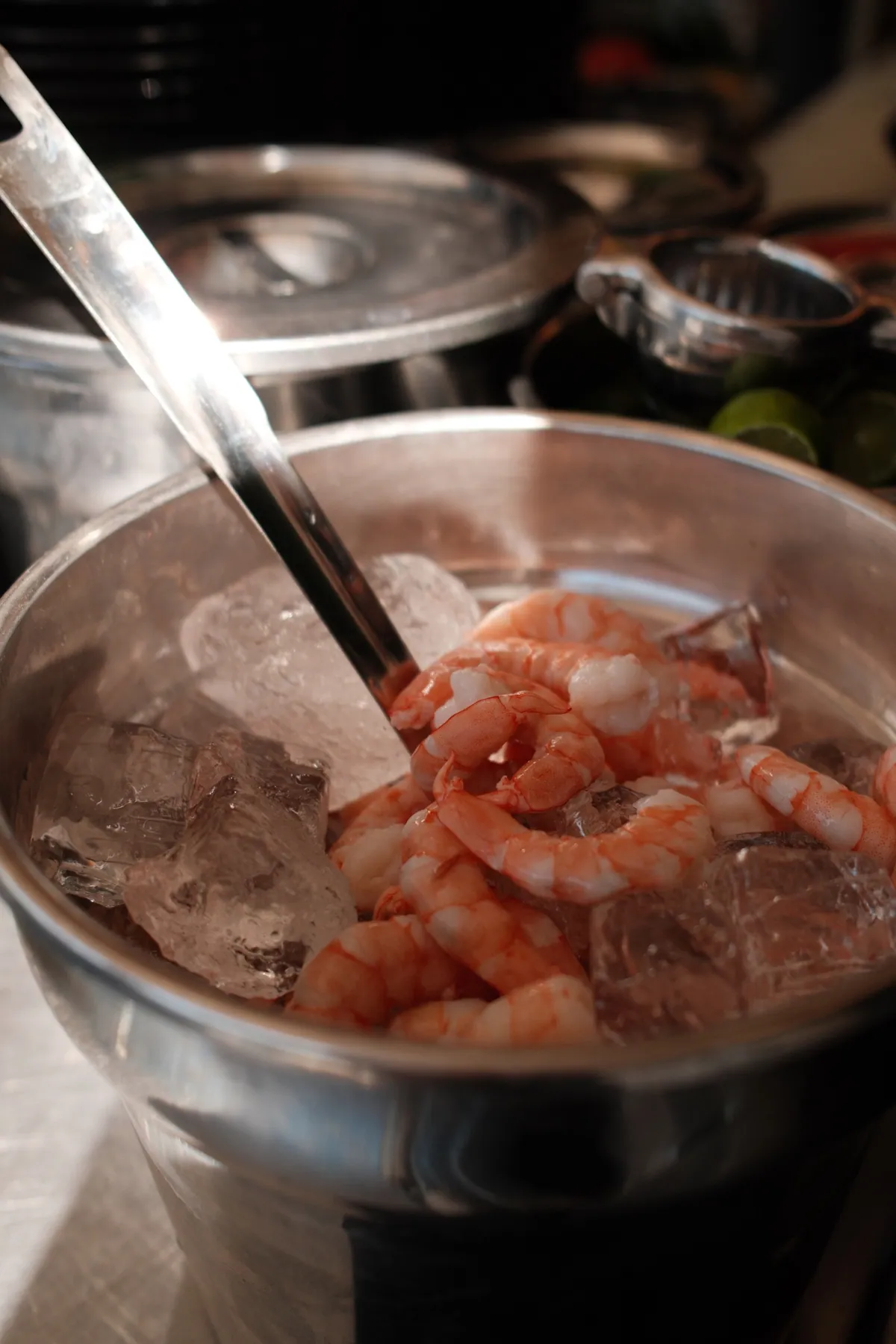 Camarón fresco sobre hielo en la cocina de Mariscos TUZO