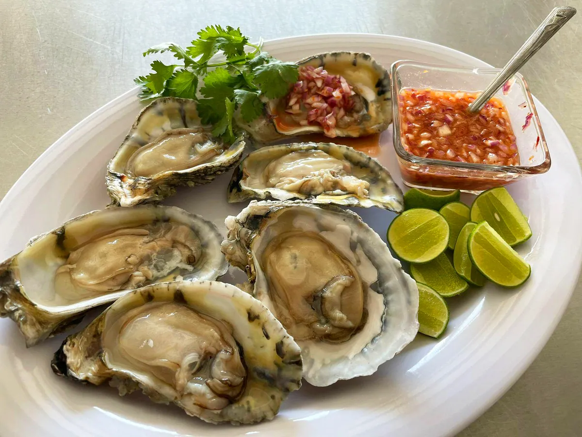 Ostión San Carlos servido en concha con limón y salsa